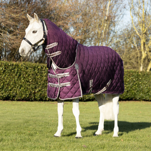 DefenceX Shield 100g Stable Rug with Detachable Neck - Purple - 5'0"