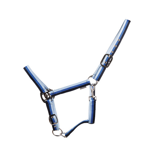 Hy Equestrian Trinity Head Collar - Navy/Blue/Light Blue - Cob
