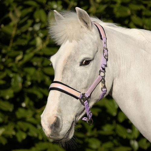 Hy Equestrian Glimmer Head Collar - Lilac - Pony