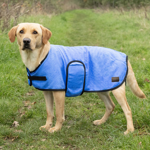 Benji & Flo Cooling Dog Coat - Blue - XXS