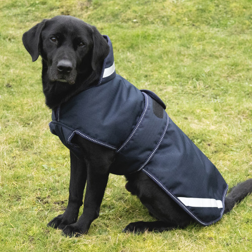 Benji & Flo Waterproof Dog Coat - Navy/Reflective Silver - XXXS
