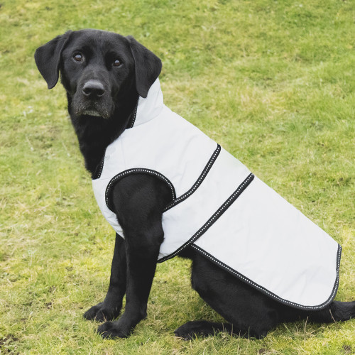 Benji & Flo Silva Reflective Dog Coat - SIlver/Black - L