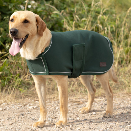 Benji & Flo LuxeSoft Dog Coat - Forest Green - XXXS