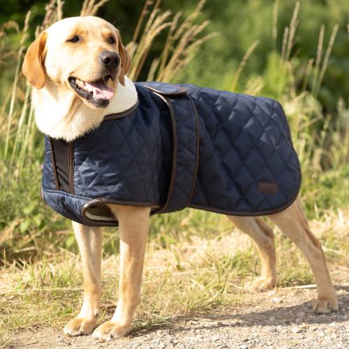 Benji & Flo Teddy Quilted Dog Coat - Navy/Chocolate - XXXS