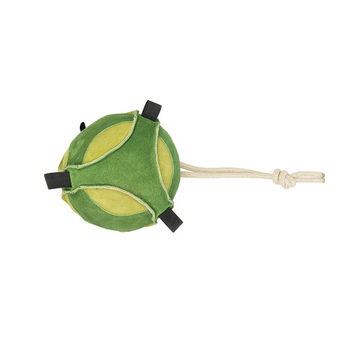 Hy Equestrian Stable Toy - Brussel Sprout