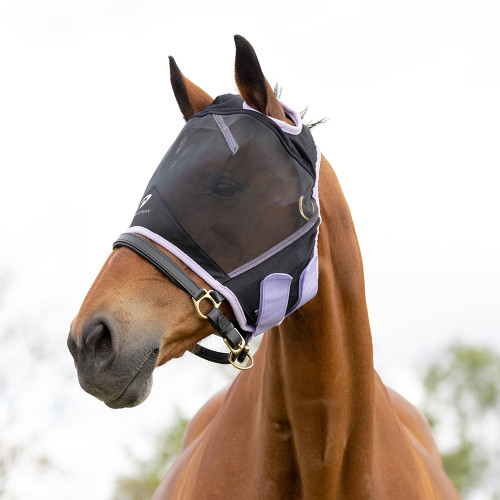 Hy Equestrian Mesh Half Mask without Ears - Black/Lilac - Small Pony