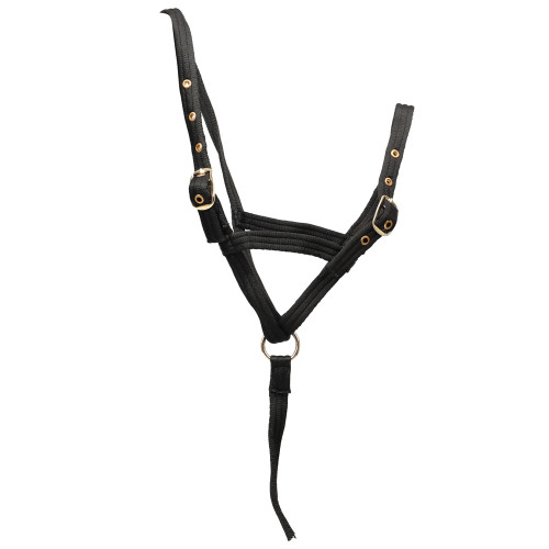 Hy Foal Slip Halter - Black