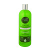 Hy Equestrian Magic Tingle Tea Tree Shampoo