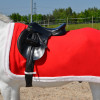Hy Equestrian Christmas Santa Exercise Sheet