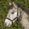 Hy Equestrian Foal Head Collar