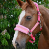 Hy Equestrian Dazzle Head Collar