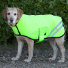 Benji & Flo Reflector Waterproof Dog Coat