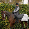Silva Flash Reflective Bridle Set by Hy Equestrian