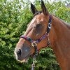 Hy Equestrian Multicolour Adjustable Head Collar & Lead Rope