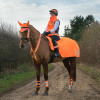 Reflector Ear Bonnet by Hy Equestrian