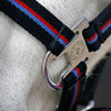 Hy Signature Head Collar & Lead Rope