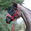 Hy Sport Active Head Collar & Lead Rope