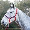 Hy Equestrian Tractors Rock Head Collar & Lead Rope