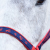 Hy Equestrian Tractors Rock Head Collar & Lead Rope