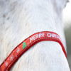 Hy Equestrian Merry Christmas Head Collar & Lead Rope