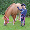 I Love My Pony Collection Head Collar & Lead Rope by Little Rider