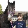 I Love My Pony Collection Head Collar & Lead Rope by Little Rider