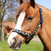 Lancelot Head Collar & Lead Rope by Little Knight