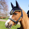 Lancelot Head Collar & Lead Rope by Little Knight