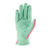 Hy Equestrian Thelwell Collection Trophy Gloves