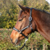 Hy Equestrian Sparkling Head Collar & Lead Rope Set