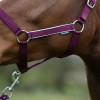 Hy Equestrian Synergy Head Collar