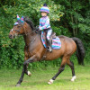 Dazzling Night Riding Tights by Little Rider