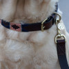 Benji & Flo Sublime Polo Leather Dog Collar