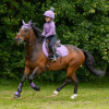 Hy Sport Active Over Reach Boots