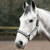 Silva Flash Head Collar by Hy Equestrian