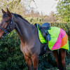 Reflector Quarter Mesh Exercise Sheet by Hy Equestrian