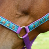 Hy Equestrian Thelwell Collection Pony Friends Head Collar & Lead Rope