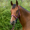 Hy Equestrian Woven Polo Head Collar and Lead Rope