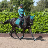 Hy Sport Active Over Reach Boots