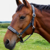 Hy Equestrian Anodize Leather Head Collar
