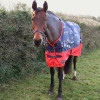 StormX Original 0 Turnout Rug - Thelwell Collection Practice Makes Perfect