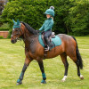 Hy Sport Active Young Rider Base Layer