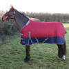 StormX Empra 200 Turnout Rug with Detachable Neck