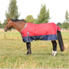 StormX Empra 200 Turnout Rug with Detachable Neck