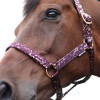 Hy Equestrian Enchanted Collection Head Collar & Lead Rope