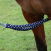 Hy Equestrian Lunging Aid