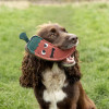 Benji & Flo Crazy Faces Dog Toys - Jalapeno the Red Hot Chilli
