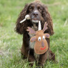 Benji & Flo Christmas Dog Toys - Reindeer