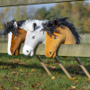 Play Time Ponies Hobby Horse by Hy Equestrian