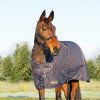 StormX Original Country 100 Turnout Rug